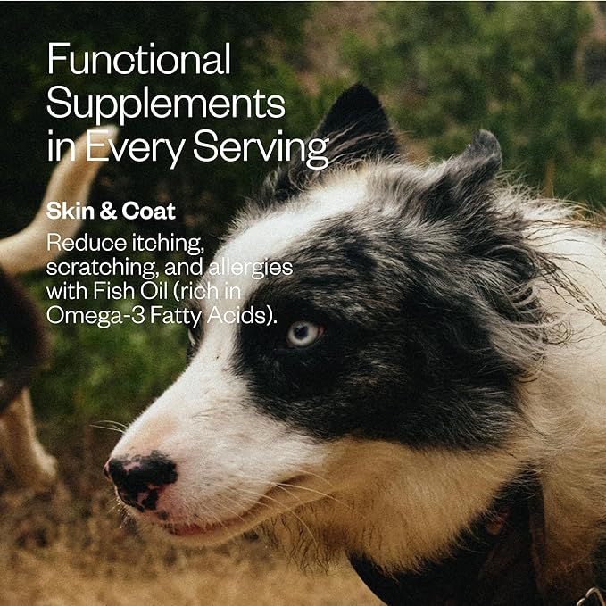 Maev Human-Grade Chicken Dog Food, Skin & Coat Formula, Whole Ingredient, Gluten-Free, High Protein Puppy & Dog Food, 25 lb