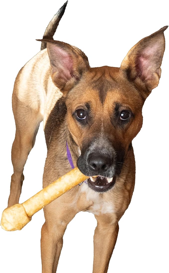 Fieldcrest Farms Nothin’ to Hide Ultra Knotted Bones – Collagen-Based Rawhide Alternative Dog Chews, Beef Flavor, Highly Digestible for Aggressive Chewers up to 35 lbs, 9-Inch, 2 Pack