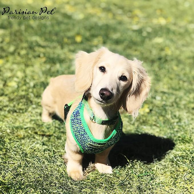 Parisian Pet Dog Harness - Breathable Mesh Green Blue No Pull Puppy Harness with Leash Ring - Adjustable Harnesses for Dogs - Soft Padded Step-in Pet Vest - Lightweight Dog Vests for Small Sized Dogs