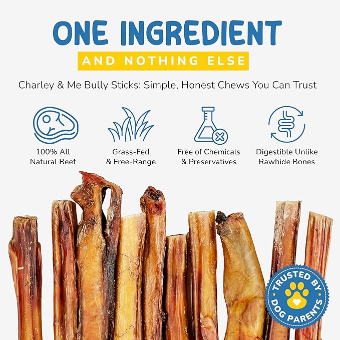 CHARLEY & ME All-Natural Bully Sticks for Dogs Made in The USA - Low-Odor, Rawhide-Free 6” Beef Chews for Aggressive Chewers & Dental Health (Pack of 25)