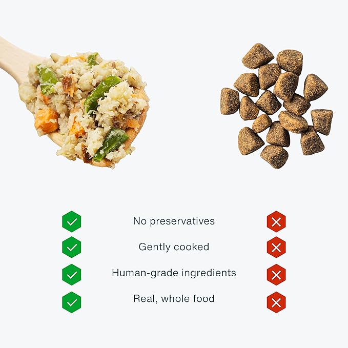 JustFoodForDogs Frozen Fresh Dog Food, Complete Meal or Dog Food Topper, Chicken & Rice Human Grade Dog Food Recipe, 18 oz (Pack of 21)