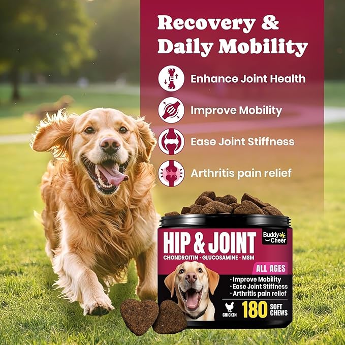 Glucosamine for Dogs - Hip and Joint Supplement Chews for Senior & Large Breed, Joint Supplement for Dogs with Chondroitin, Wuffe Joint Chews for Pain Relief - 60-Day - 180 Ct