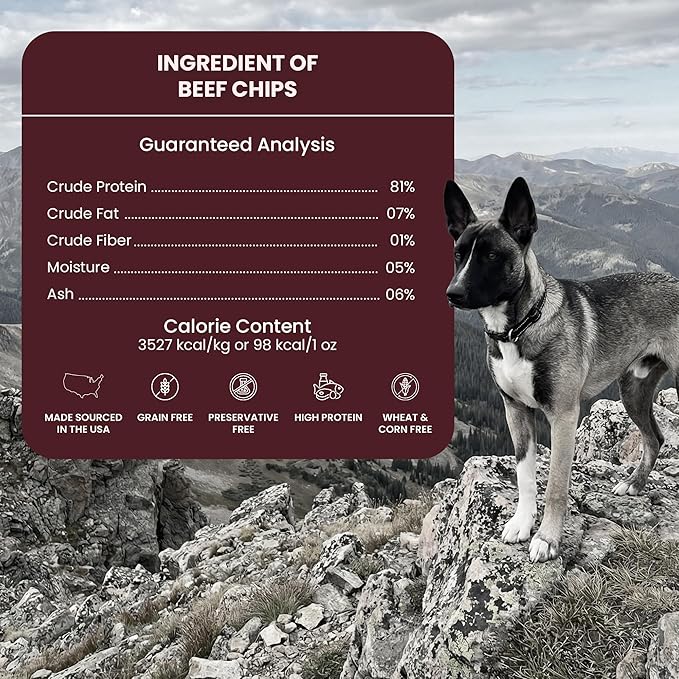 Beef Chips | 100% Single-Ingredient Beef Jerky Dog Treats | Healthy, Natural Treats for Dogs | High-Protein, Grain-Free, Ideal for Training & Sensitive Stomachs | Made in Texas, 4oz