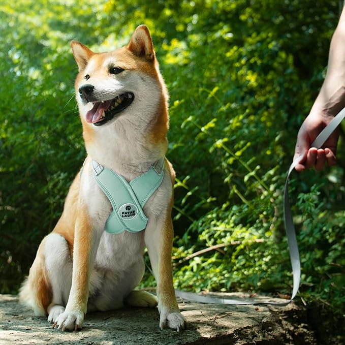 Patas Lague Dog Harness with Leash Set Adjustable Soft Padded Step-in Dog Vest No Choke No Pull Reflective for Medium Pets with Poop Bags and Dispenser, Solid and No-chew, Green L