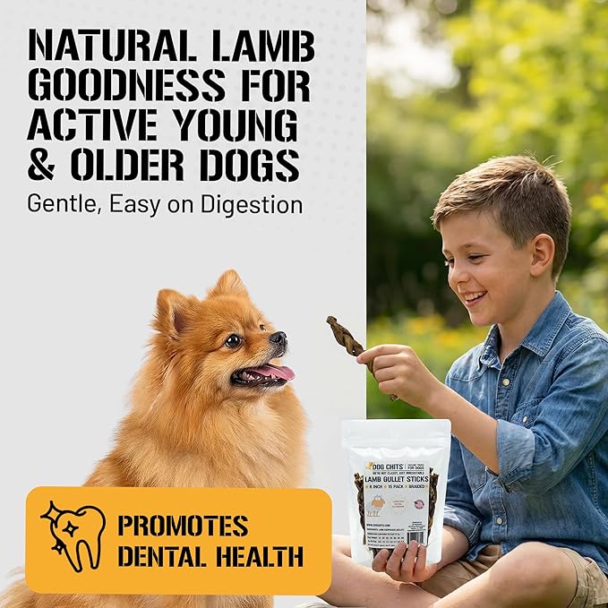 Dog Chits Lamb Esophagus Chews for Dogs & Puppies - Natural Single Ingredient - High Protein, Low Fat Lamb Chew - Long Lasting, Easily Digestible - Great for Joint - Dental Clean Crunch - 6inch, 15pck