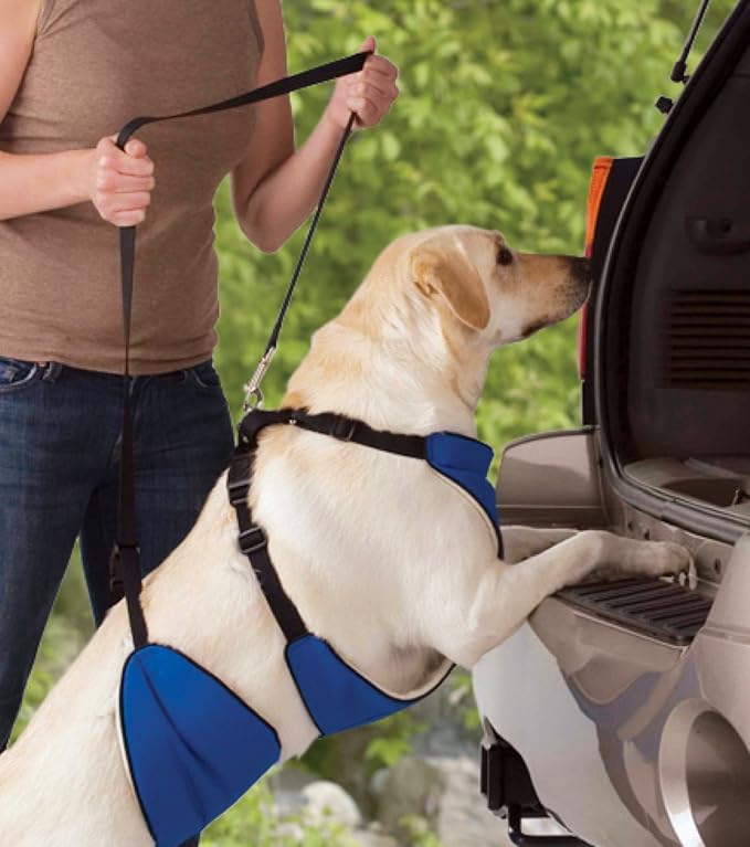 Guardian Gear Nylon Lift & Lead 4-in-1 Dog Harness, XXX-Large, Blue