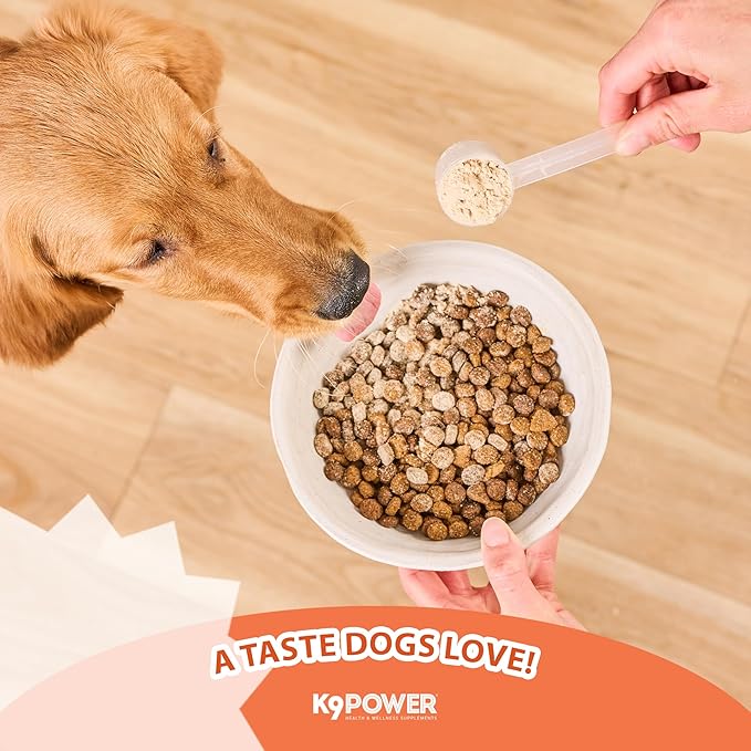 K9Power Puppy Gold 3lb – Puppy Supplement for Growth & Development – Also Supports Pregnant & Nursing Mothers – Colostrum, DHA, Glucosamine, Collagen, Probiotics, Creatine, Milk Protein, Salmon Oil