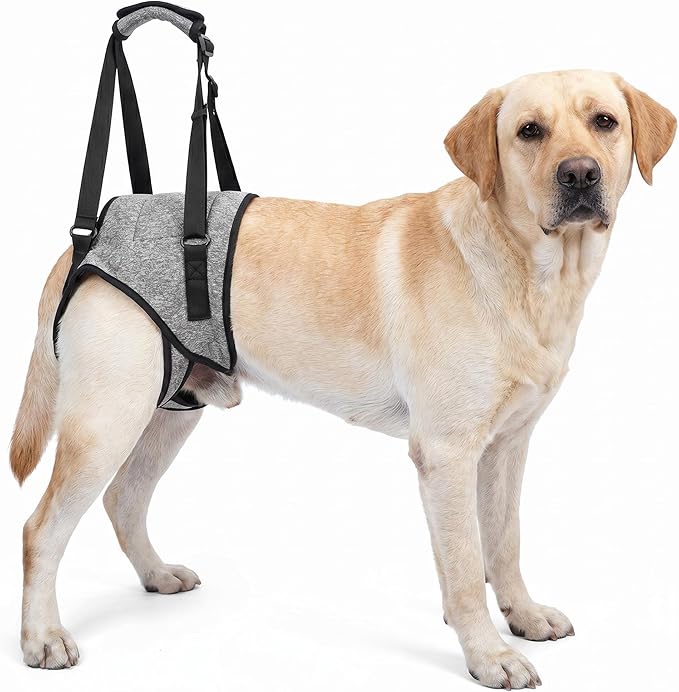 Dog Rear Leg Support Harness – Adjustable Mobility Sling for Senior Disabled Injured Dogs, Hip Joint Lift Harness for Small Medium Large Dogs, Padded Handle, Breathable & Easy to Use