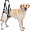 Dog Rear Leg Support Harness – Adjustable Mobility Sling for Senior Disabled Injured Dogs, Hip Joint Lift Harness for Small Medium Large Dogs, Padded Handle, Breathable & Easy to Use