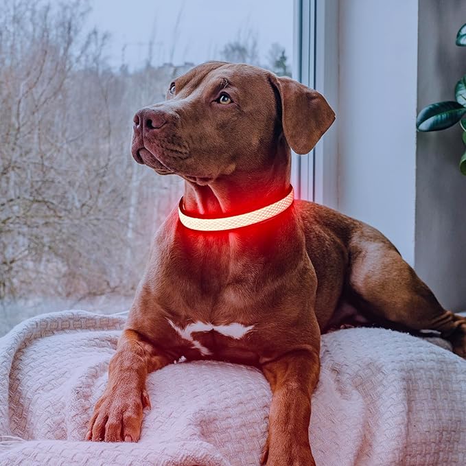Flashseen LED Dog Collar, Light Up Dog Collar USB Rechargeable, Brightest Dog Lights for Night Walking, Adjustable Dog Collar Light for Dog Safety (Red, Small)