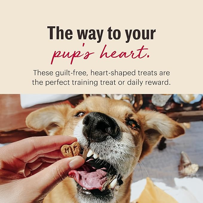 The Honest Kitchen Human Grade Dog Treats Parmesan Pecks: Duck, Parmesan & Cherry Recipe, 8 oz Bag