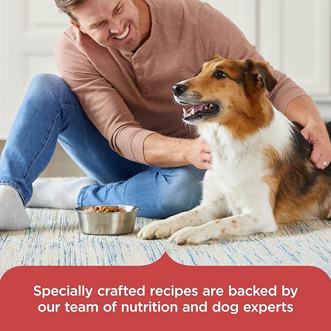 Nutrish Rachael Ray Adult Dry Dog Food Real Salmon, Veggies & Brown Rice Recipe, 12 lb. Bag