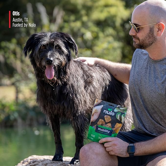 Nulo Functional Jerky Mobility Chicken Dog Treats 5 OZ Bag