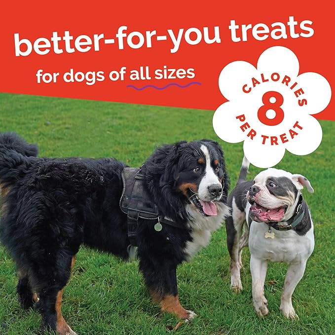 Fruitables Baked Dog Treats, Healthy Pumpkin Treat for Dogs, Low Calorie & Delicious, Made Without Wheat, Corn and Soy, Made in the USA, Allergy Friendly, Crispy Bacon and Apple Flavor, 20 oz