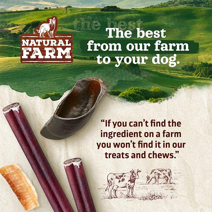 Natural Farm Rib Bones for Dogs (9-10 Inch, 8 Pack) - Beef Ribs, Farm-Raised Cattle - Slow-Roasted Flavor Treats, Promotes Dental Health, Great for Medium and Large Dogs