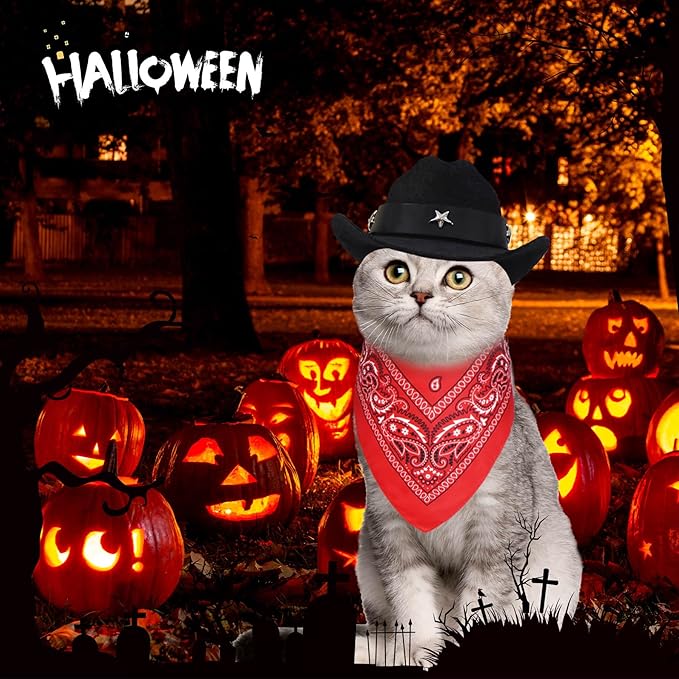 GOYOSWA Cat Cowboy Costume, Cat Halloween Costumes Funny Pet Cowboy Hat and Bandana Set for Cats Kittens Pets (Black)