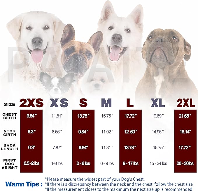Cozy and Functional Dog Shirts for Small Puppies: Stretchable Gray Attire with Easy-On Design, Ideal for Chihuahuas and Yorkies - Enhance Comfort and Playfulness on Chill Days Large