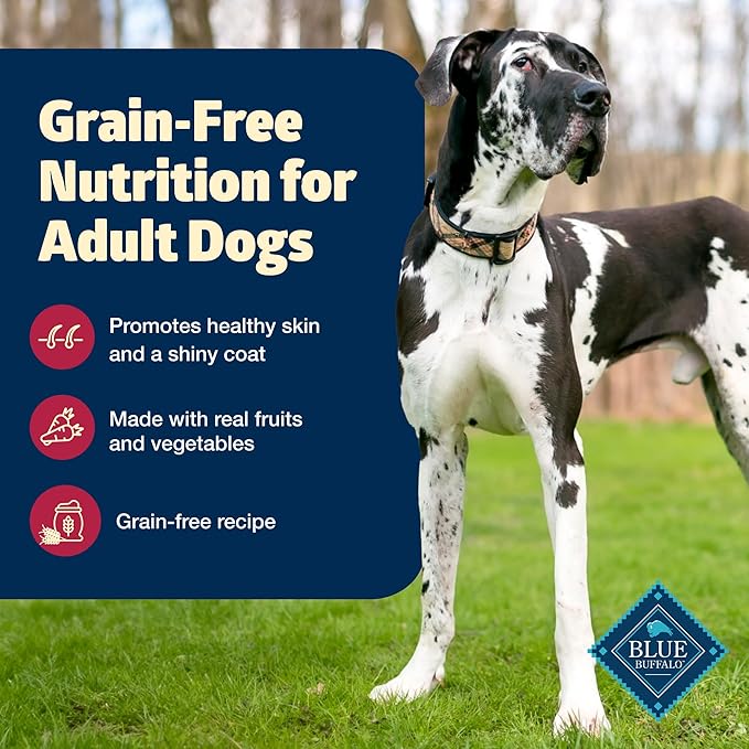 Blue Buffalo Freedom Grain-Free Dry Dog Food, Complete & Balanced Nutrition for Adult Dogs, Made in the USA with Natural Ingredients, Beef & Potatoes, 4-lb Bag