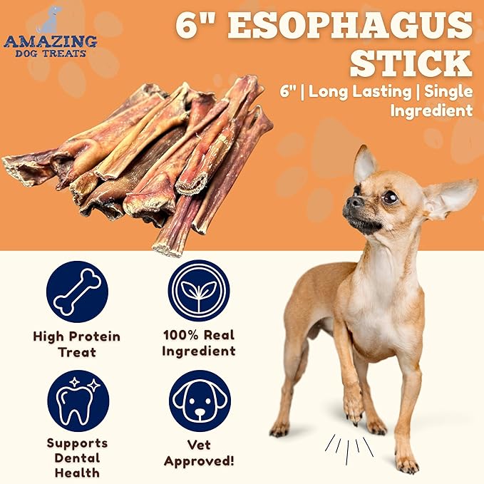 Amazing Dog Treats Gullet Sticks for Dogs- (6 Inch - 20 Count) - Jerky Chews for Dogs - Esophagus Beef Gullet