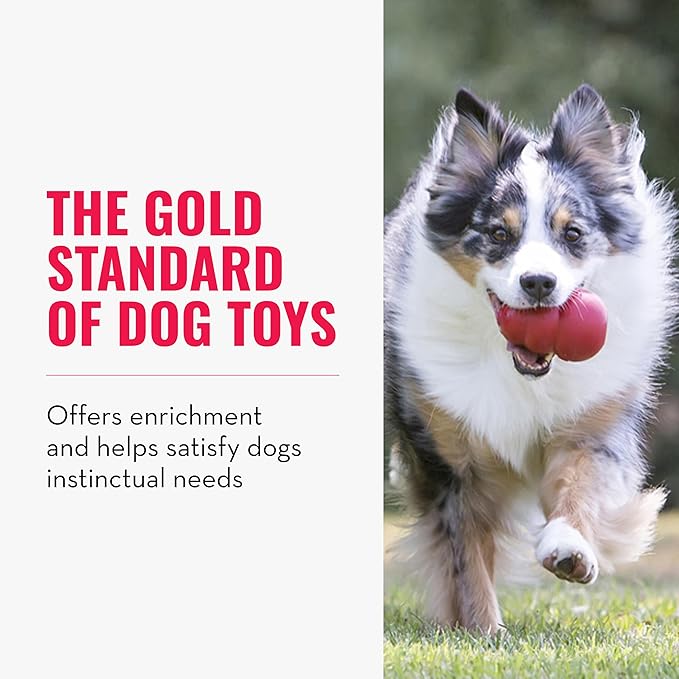 KONG Classic Stuffable Dog Toy - Fetch & Chew Toy for Dogs - Treat-Filling Capabilities & Erratic Bounce for Extended Play Time - Durable Natural Rubber Material - for Small Dogs (Pack of 2)