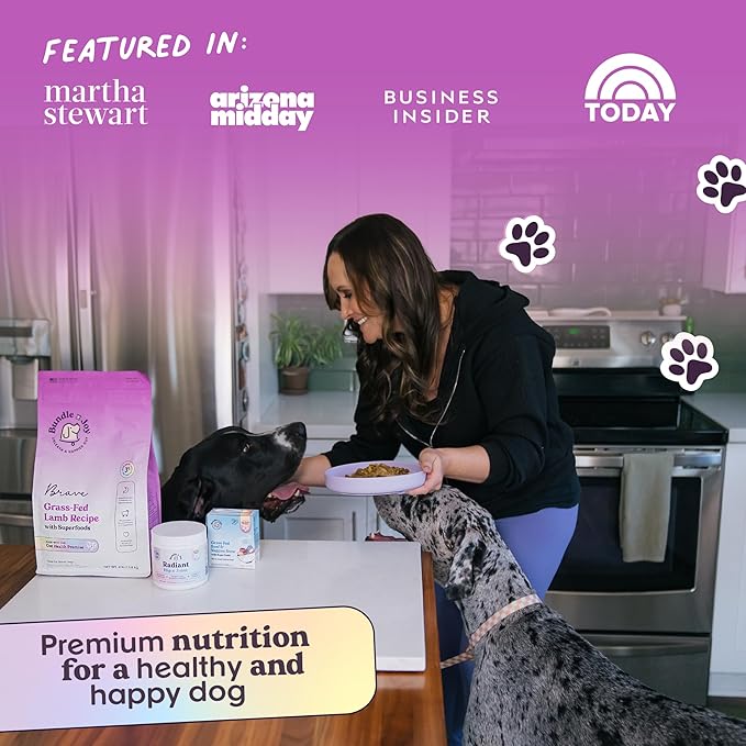 Bundle x Joy Brave Probiotic Dog Food Dry, Lamb, 8lb Bag, Allergy and Gut-Friendly Adult Kibble for Digestive Health with Grass-Fed Lamb, 20 Plant Based Superfoods, Poultry and Grain Free