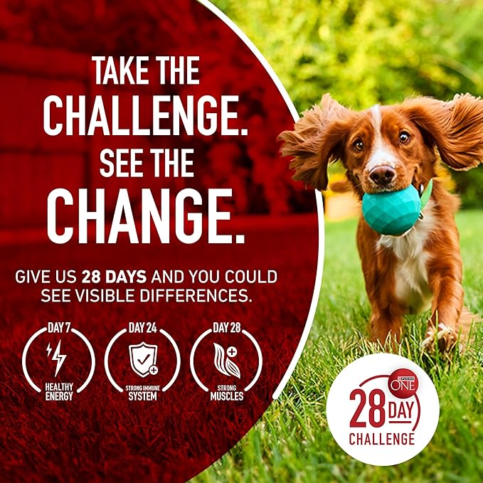 Purina ONE Plus Large Breed Adult Dog Food Dry Formula, Real Protein Rich Natural Chicken Flavor - 40 lb. Bag