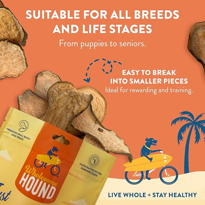 Just Sweet Potato Chips – Single Ingredient Dog Treats, All Natural & Healthy Training Snacks for Small, Medium & Large Breeds, Puppies – High Protein, Made in US - 4oz
