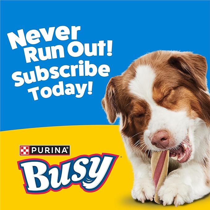 Purina Busy with Beggin’ Twist’d Adult Dog Chew Bone Treats - 6 ct. Pouch