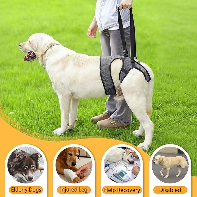 LIANZIMAU Dog Sling for Large Dogs Adjustable Hind Leg Support Lift Harness Senior Canine Mobility Aid Carrier for Back Legs Walking Rehabilitation