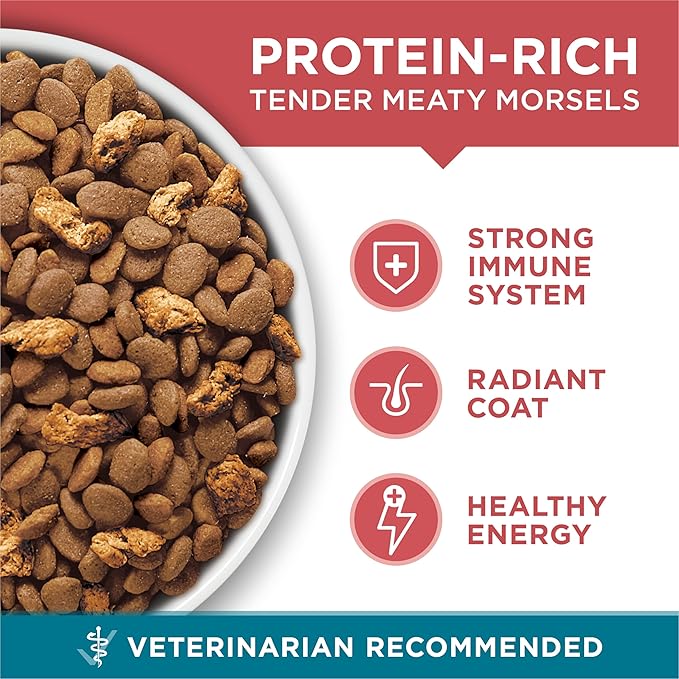 Purina ONE Natural Dry Cat Food, Tender Selects Blend With Real Salmon - 3.5 lb. Bag