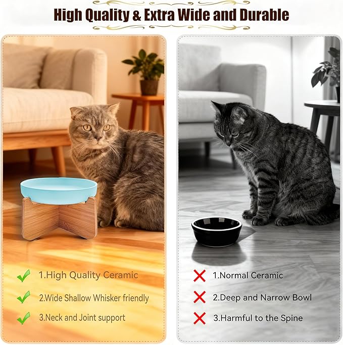 Shallow Elevated Cat Bowls with Bamboo Stand, 6.1 Inch Wide Ceramic Cat Dish Whisker Friendly, 2 Pack Pet Food and Water Plates