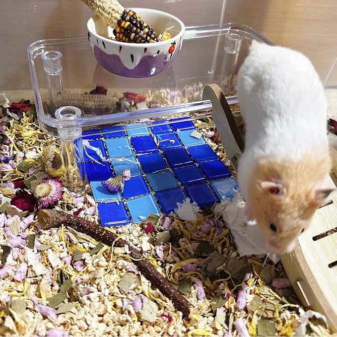 Hamster Platform Acrylic Small Animal Play Activity Resting Stand Climbing Cage Toy with Ladder for Dwarf Syrian Hamsters Gerbils Mice Sugar Glider