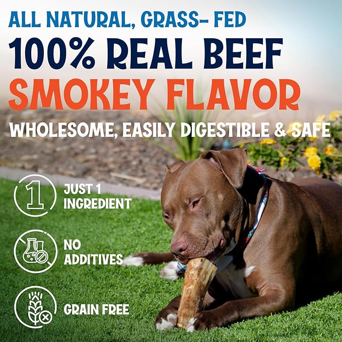 Beef Marrow Bones for Dogs, 3" Bone, Long Lasting Stuffed Treats, Tasty and Healthy Snack for Small and Medium Sized Pets, (6 Pack)