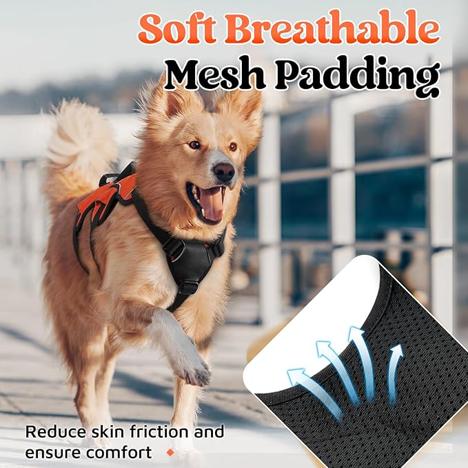 rabbitgoo Escape Proof Dog Harness, Soft Padded Full Body Pet Harness, Reflective Adjustable No Pull Vest with Lift Handle and Leash Clip for Large Dogs Walking Hiking Training, XL, Orange