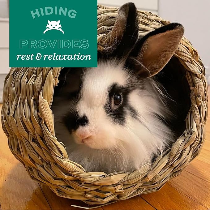 Oxbow Timothy Hay Bungalow, Rabbit & Guinea Pig Hideout, Edible & Hand-Woven Bunny House, No Wires or String, Small Pet Accessories, for Rabbits, Guinea Pigs, Chinchillas & Rats, Large