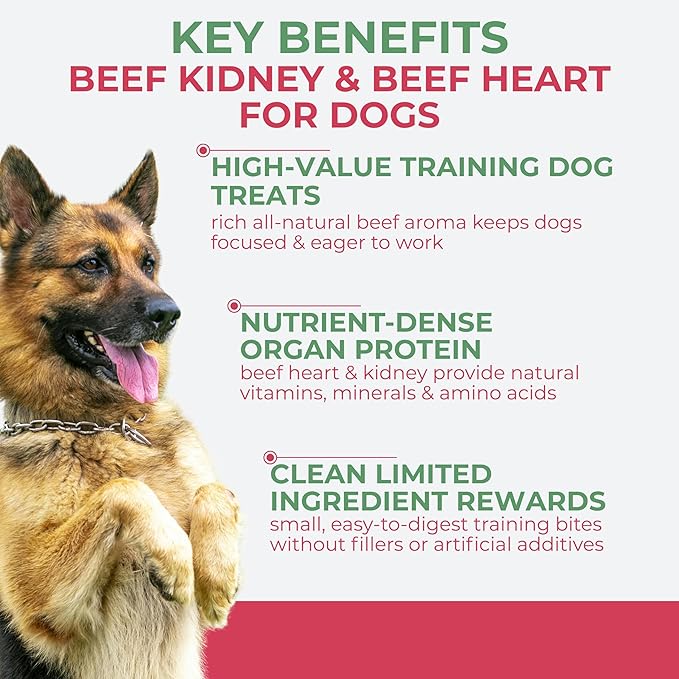Momentum Carnivore Nutrition Freeze-Dried Beef Training Bites – Two Ingredients-Beef Kidney and Heart, Grain-Free, All-Natural Dog Treats –Made in USA – Perfect for Training & Rewards- 2.5 oz Bag
