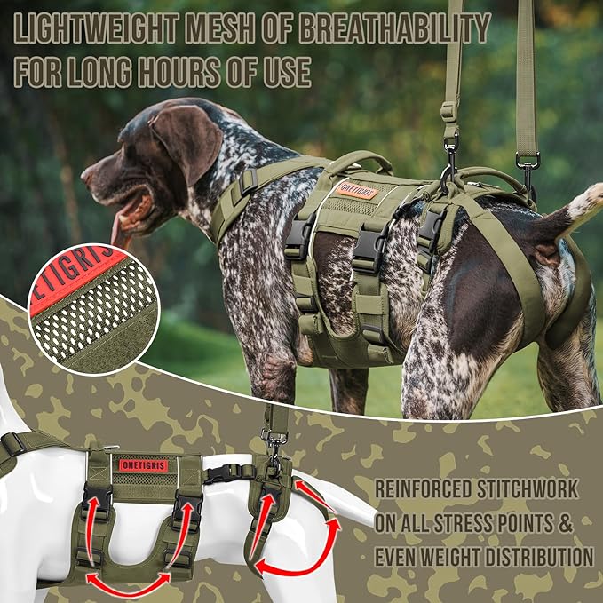 OneTigris Breathable Dog Lift Harness for Medium Sized Dogs, Dog Sing for Large Dogs Hind Leg Support, Hip Support Brace Front Leg Vrace (Green, Large)