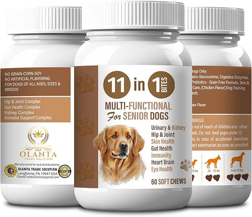 11-in-1 Dog Soft Chews | Immune Support | Senior Dog Wellness | Joint, Skin & Digestive Support – Chicken Flavor Multi Pack 2 Bottles 120 Soft Chews