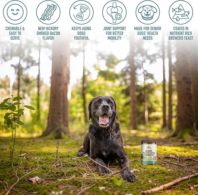 Strawfield Pets Senior Multivitamin + Probiotics for Dogs with Milk Thistle Joint Support Supplement for Dogs Bacon Flavor 120 Soft Chews