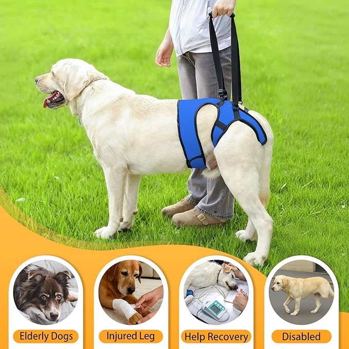 LIANZIMAU Dog Sling for Large Dogs Adjustable Hind Leg Support Lift Harness Senior Canine Mobility Aid Carrier for Back Legs Walking Rehabilitation