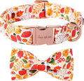Unique Style Paws Thanksgiving Day Collar with Bow Fruit Leaf Flower Fruit Durable Cute Cotton Dog Collars for Small Medium Large Dogs