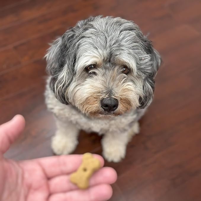 Exclusively Dog Best Buddy Bones Training Treats for Dogs and Puppies - All Natural, Baked in The USA, Ideal for Training & Agility, No Animal Byproducts - Beef & Liver Flavor, 5.5oz Resealable Bag