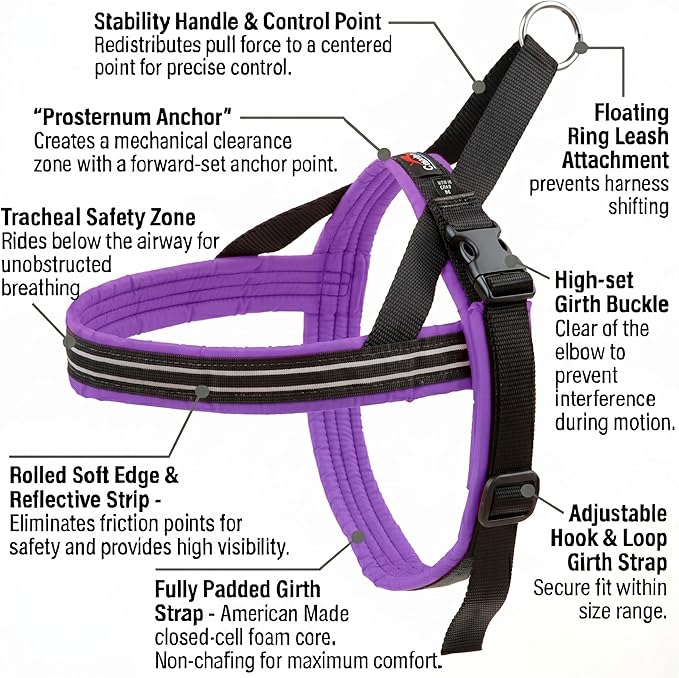 ComfortFlex Sport Dog Harness – No-Choke, Fully Padded, Non-Chafing Harness with Control Handle – Reflective, Lightweight, Adjustable for Active Dogs - Small, Purple