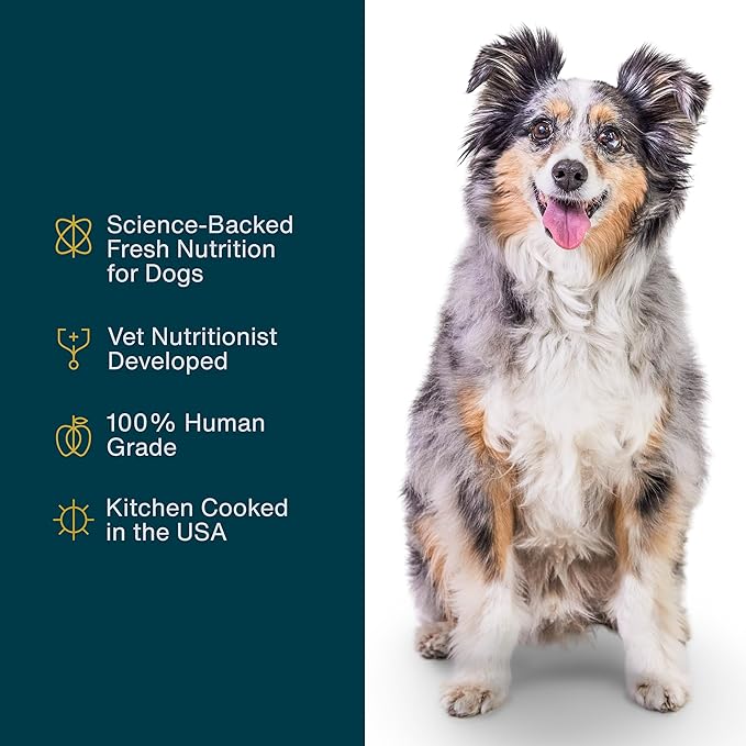 JustFoodForDogs Frozen Fresh Dog Food Sampler Human Grade Variety Box, Complete Meal or Topper, 18 oz (Pack of 7)