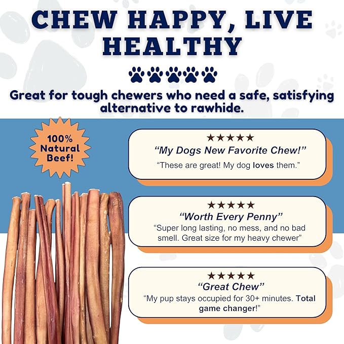 Amazing Dog Treats - 12 Inch Medium Size Bully Sticks (50 Count) - Bulk Bully Sticks for Dogs - No Hide Bully Stick Dog Bones