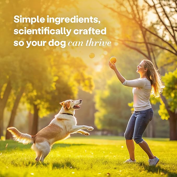 Wild Earth Superfood Dog Treats, Plant Based Dog Treats with Omega Acids, Prebiotics & Koji Protein, No Fillers, Veterinarian-Developed, Banana & Cinnamon Flavor