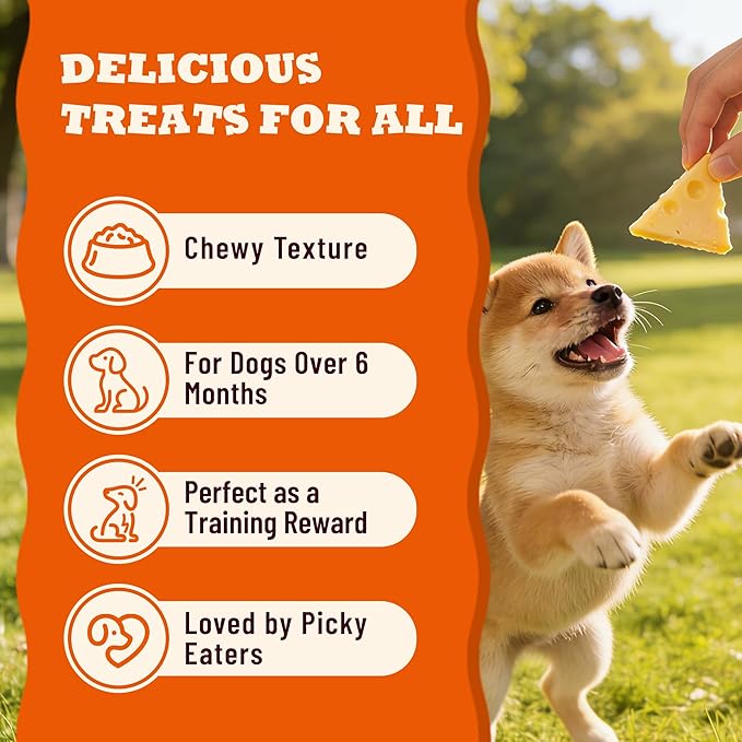 14.1oz Cheese Bites for Dogs - High-Protein Cheese Dog Treats for Digestive & Immune System Health - Original Chewy Natural Puppy Training Treat