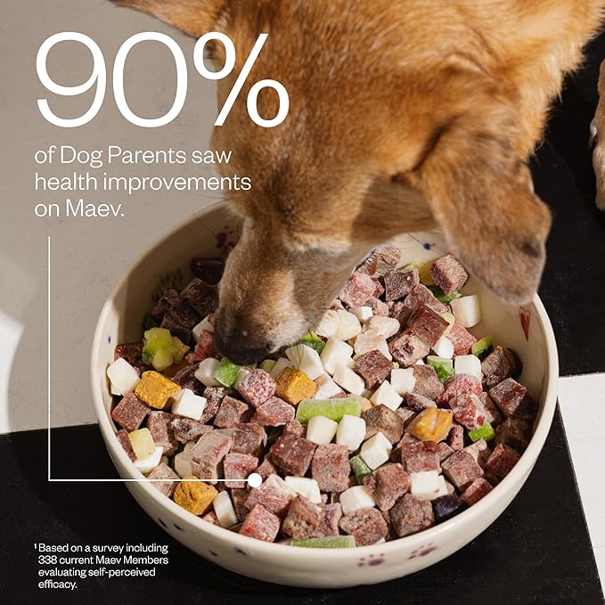 Maev Human-Grade Beef Dog Food, Skin & Coat Formula, Whole Ingredient, Gluten-Free, High Protein Puppy & Dog Food, 10 lb
