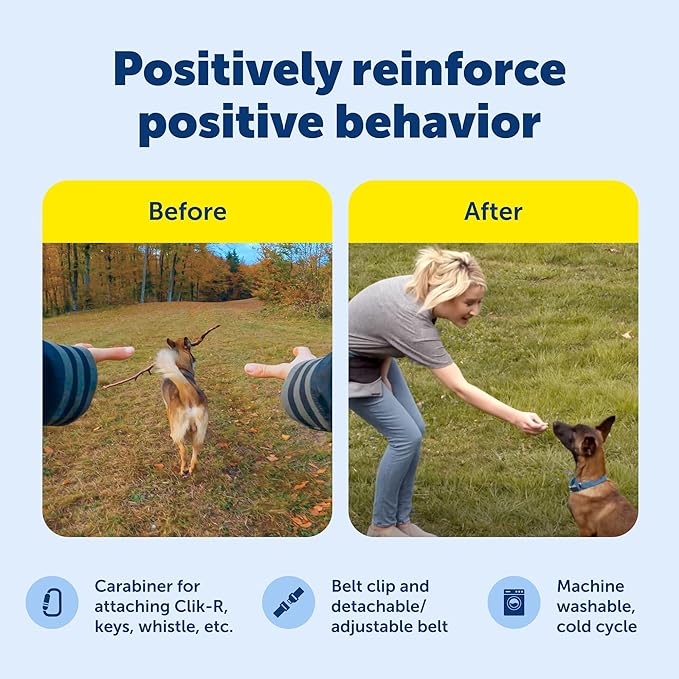 PetSafe SSSCAT Automatic Spray Pet Deterrent - Contactless Behavior Correction - Motion Sensor Air Burst - Odorless - Non-Staining - Versatile Placement Spray