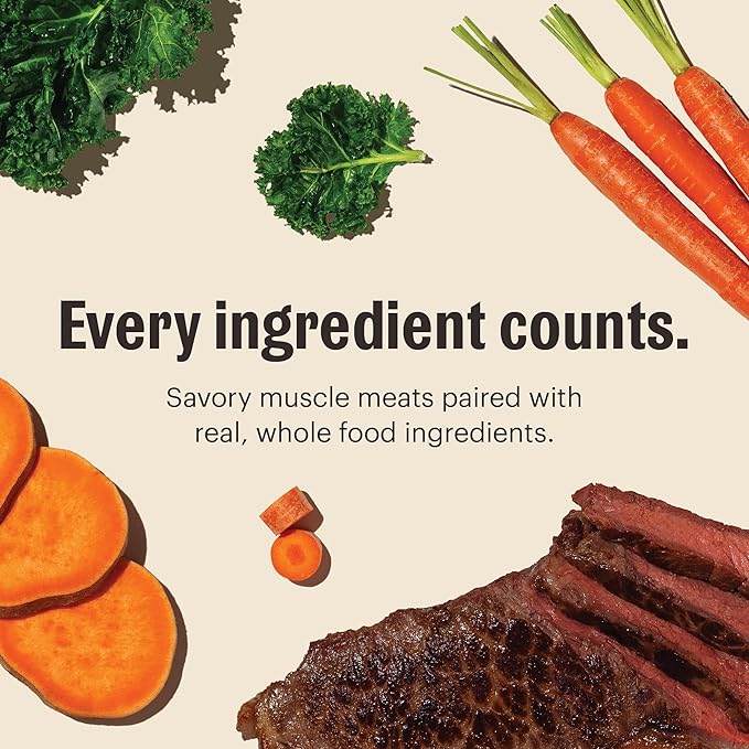 The Honest Kitchen Human Grade One Pot Stews: Roasted Beef Stew with Kale, Sweet Potatoes & Carrots Wet Dog Food, 10.5 oz x6